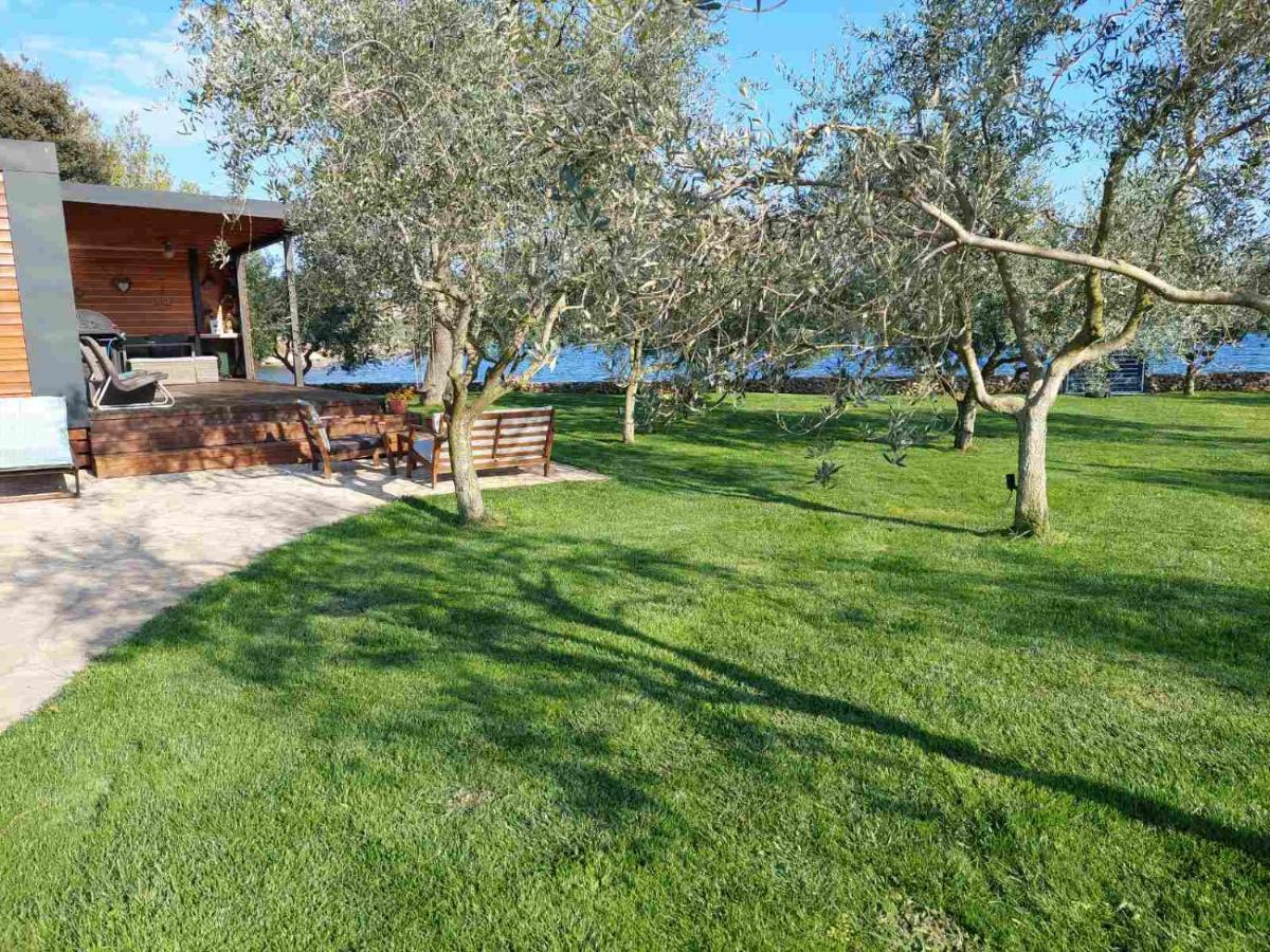 Beach House Ive With Jacuzzi, Pool, Playground And Bbq In An Olive Grove With A Beach, Pomer - Istria Екстер'єр фото
